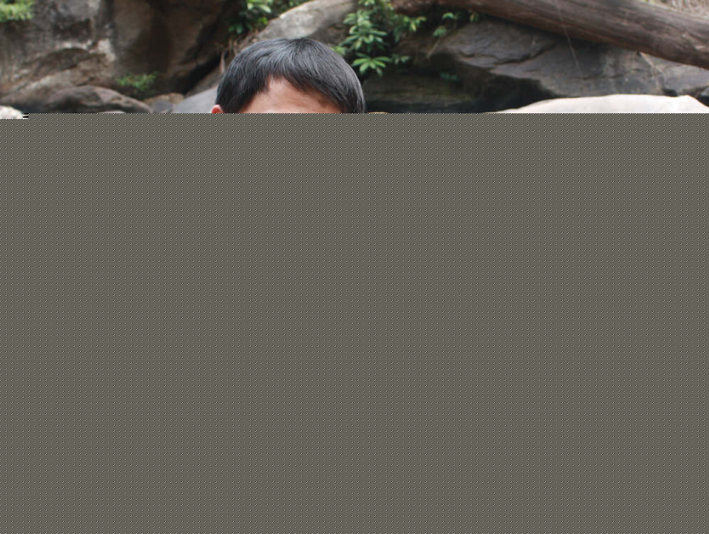 畫(huà)家毛小榆